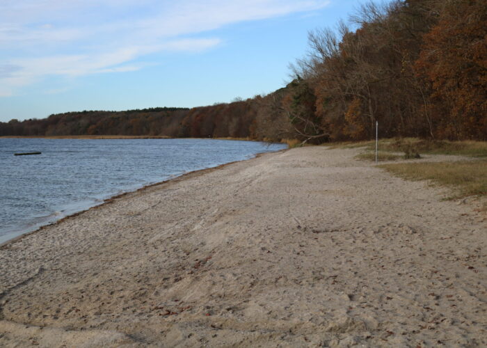 IMG_0801 Hier ist der idyllische Strand von Kamminke bei dem Ferienhaus Feldlerche auf Usedom an der Ostsee zu sehen