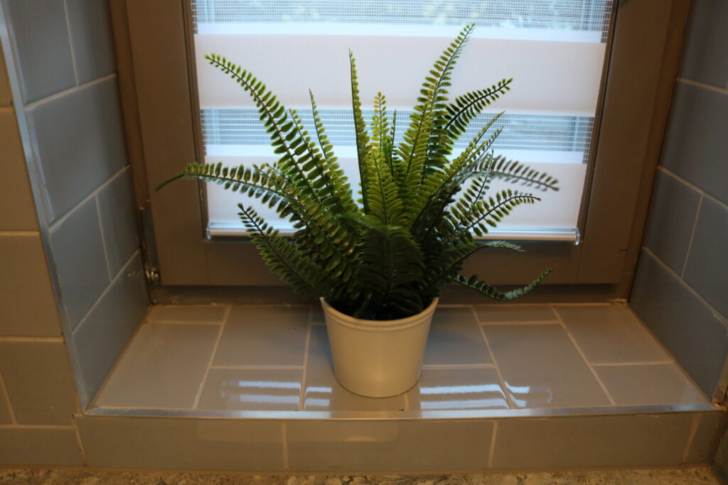 Hier ist eine Pflanze im unteren Bad im Ferienhauses Feldlerche auf Usedom an der Ostsee zu sehen.