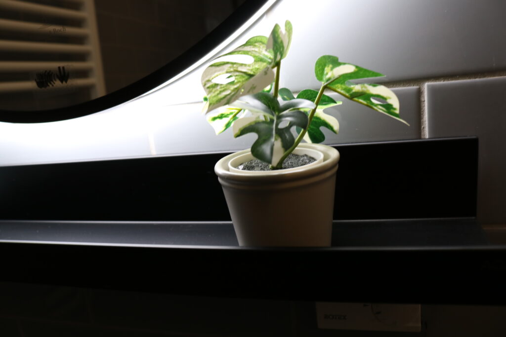 Hier ist eine kleine Pflanze im Badezimmer im Ferienhauses Feldlerche auf Usedom an der Ostsee zu sehen.