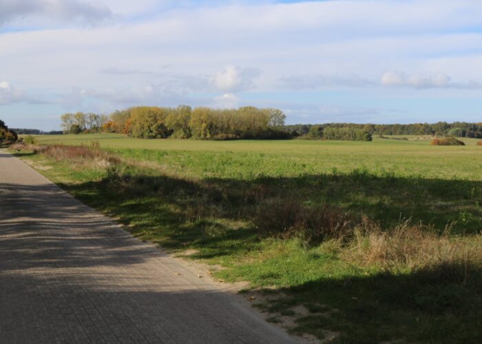 b0088b3b-c8be-4687-a726-b73e34a7a280 Hier ist die große Wiese vor dem Ferienhauses Feldlerche auf Usedom an der Ostsee zu sehen